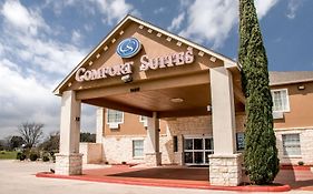 Comfort Inn New Braunfels Tx